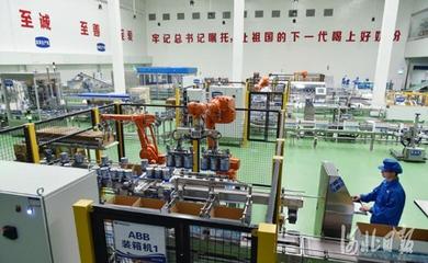 河北奶業振興之路 以質量安全為基，大額資金筑牢發展防線